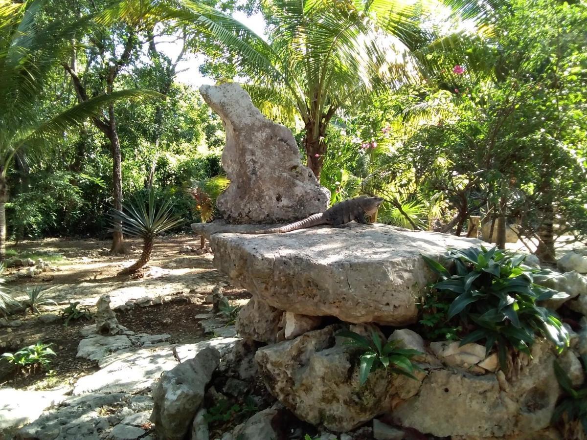 Villa Tortugas Akumal Exterior photo